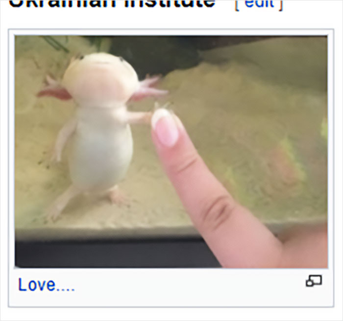 Wikipedia-Out-Of-Context-But-Its-Made-Up-Twitter