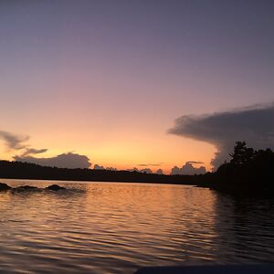 tiffanyepaige avatar