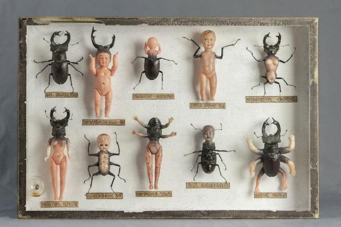 Things-Only-Get-Weirder