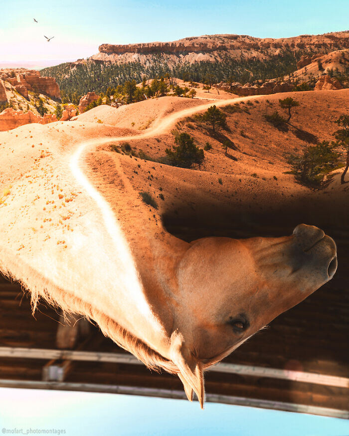 “I’ve Been Through The Desert On A Horse With No Name...”