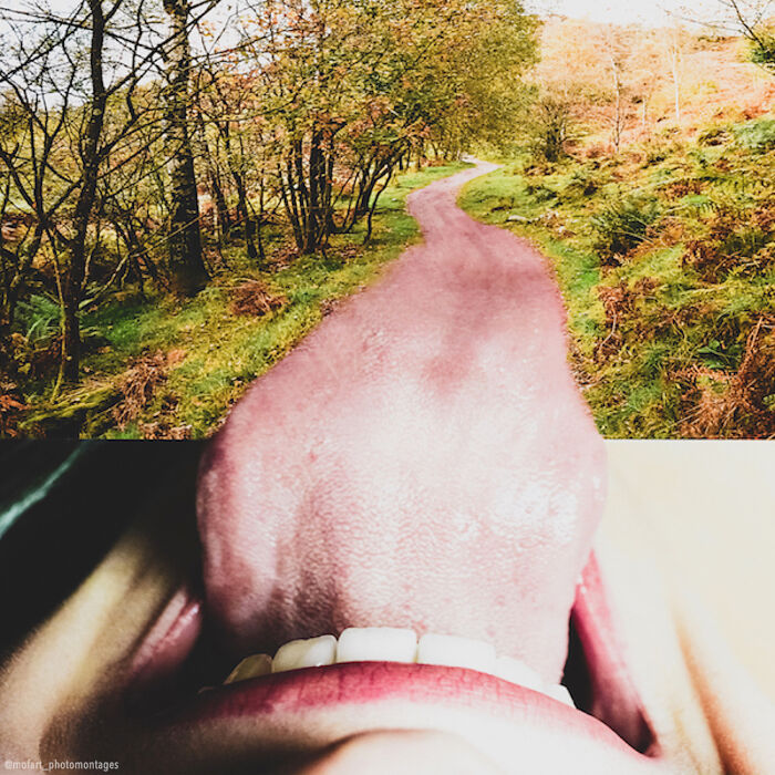 Lick It Till You Make It!