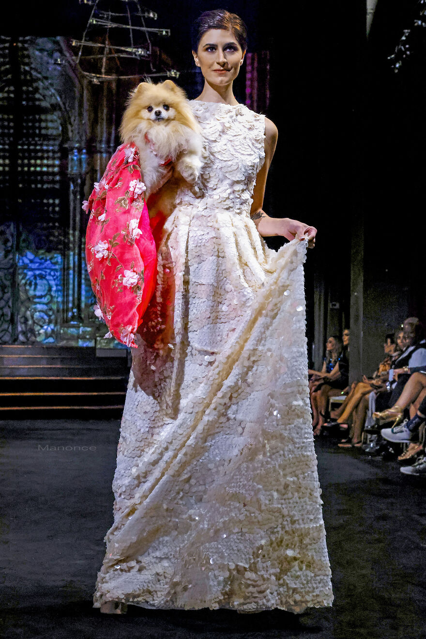 Dogs And A Cat In Couture Take Over New York Fashion Week (10 Pics)