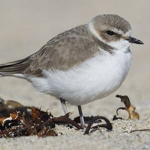 harpergilbert0102 avatar