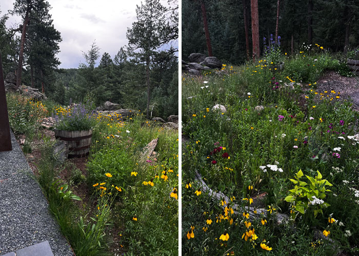 La Asociación de Propietarios exige que esto sea un césped