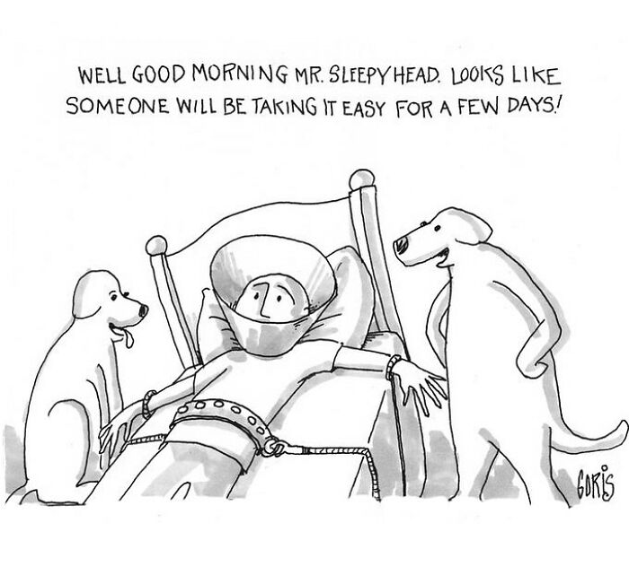 Artist Makes Funny One-Panel Comics That Truly Reflect Our Everyday Life (New Pics)