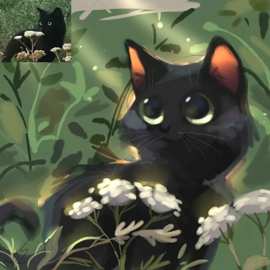 Adorable drawing of a black cat in a field, transformed from a funny animal photo.