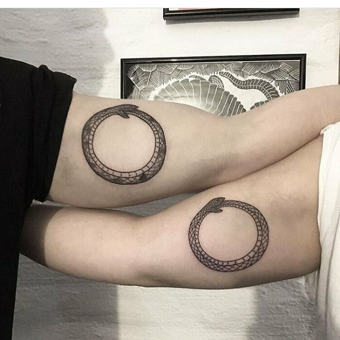 Simple matching brother and sister snake tattoos on arms, symbolizing unity and connection.