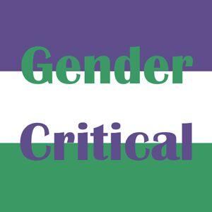 nightshadefox42 avatar