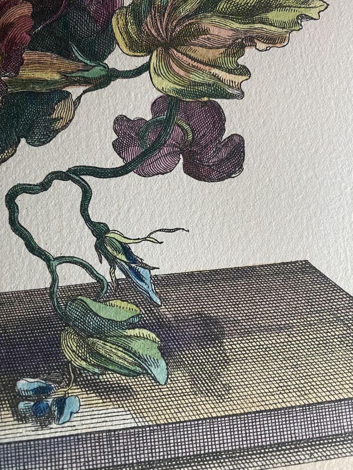 Lithograph Or Print? Wanted Get A Better View