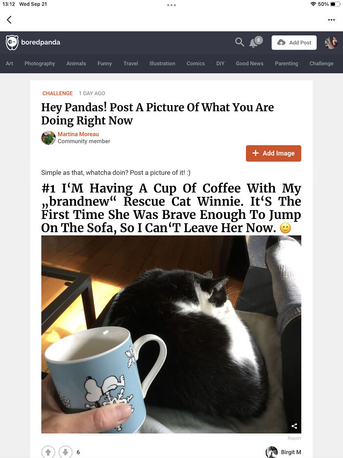 Hey Pandas! Post A Picture Of What You Are Doing Right Now