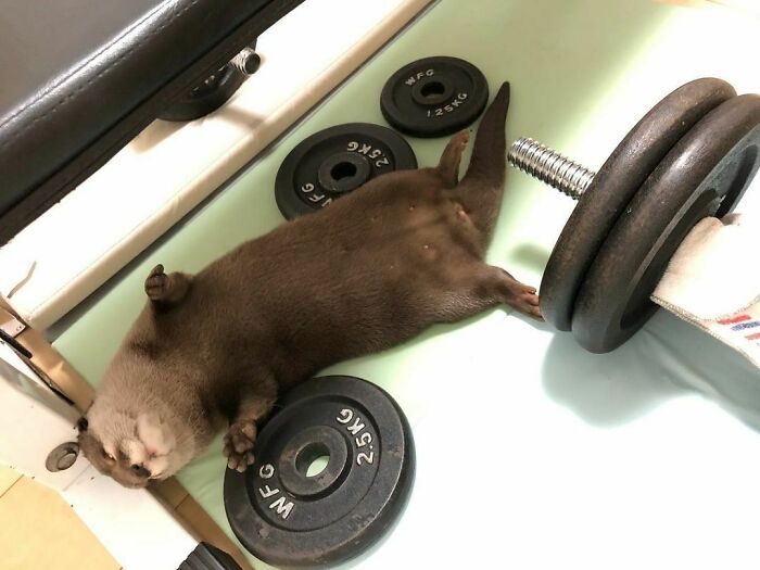 Really Tired After Gym