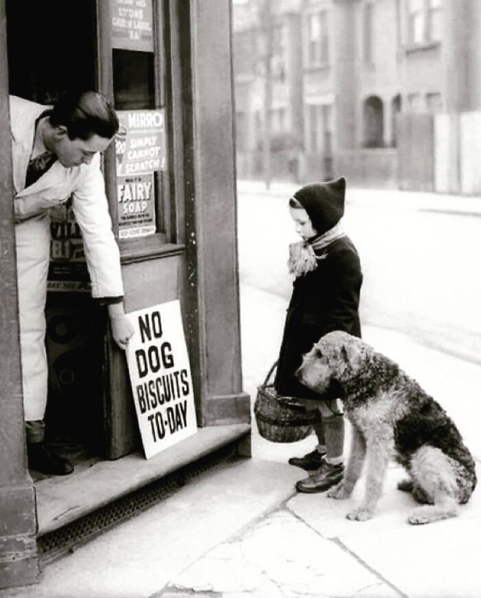 Small girl with a dog reading a sign of the grocery store 