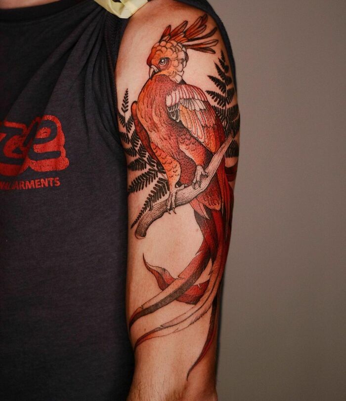 Colorful Harry Potter tattoo of Fawkes the phoenix on upper arm with fern details.