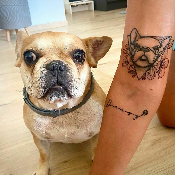 French Bulldog with matching tattoo on human arm, symbolizing adorable pet tattoos.