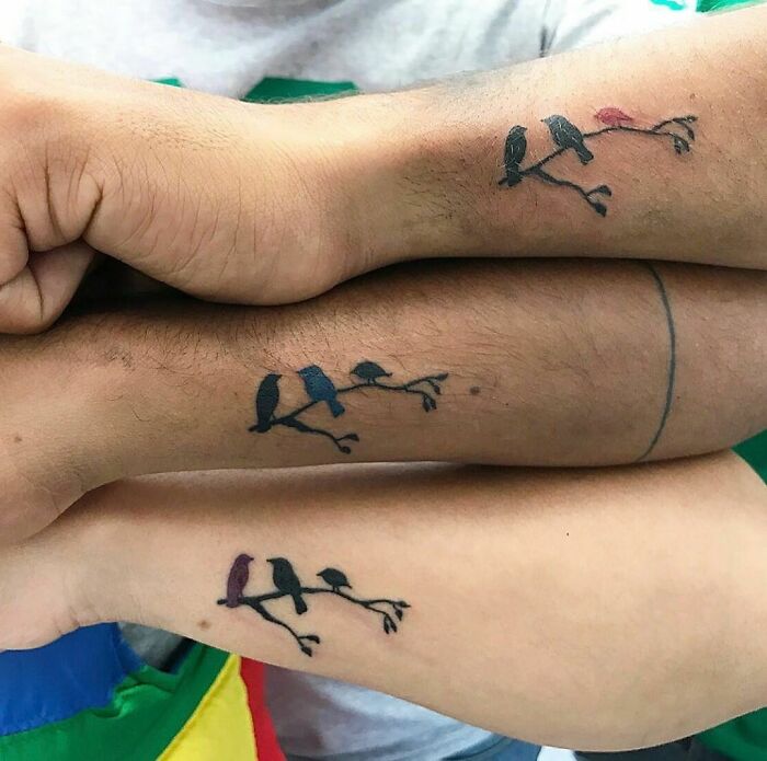 Sibling tattoos of colorful birds on branches, symbolizing the bond between brother and sister.