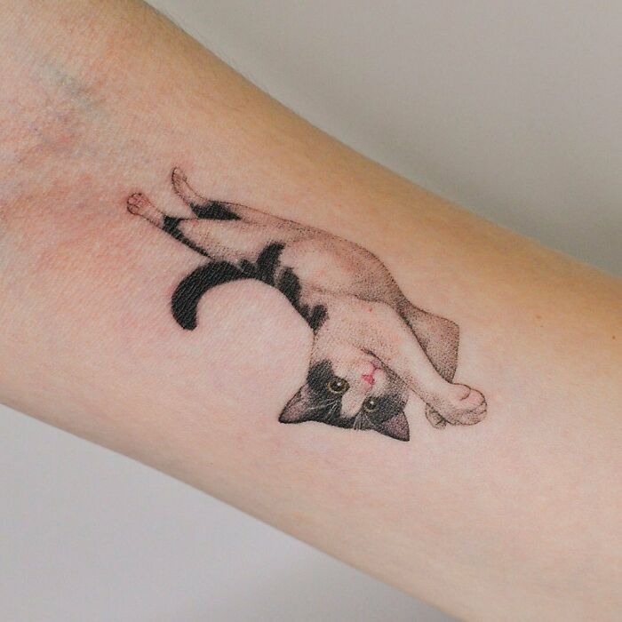 Cat tattoo on forearm, featuring a lounging feline to immortalize a beloved pet.