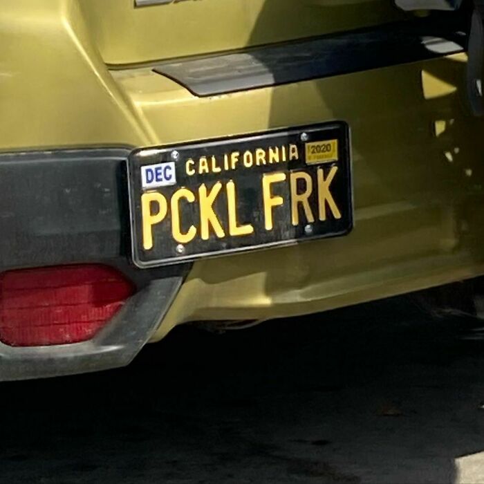 What A Coincidence, I Myself Am A Pickle Freak