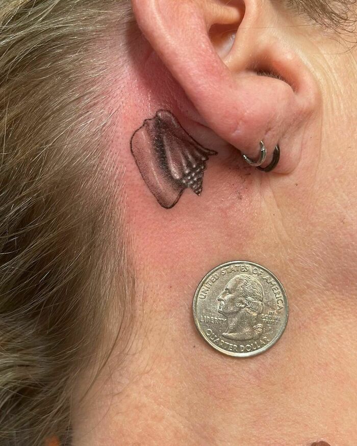 Ear tattoo of seashell behind ear with a quarter for size comparison.