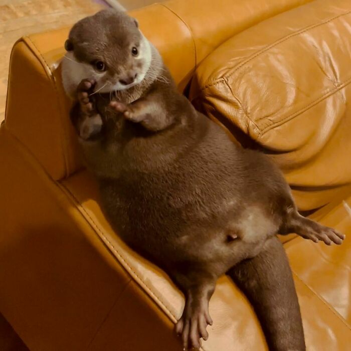 Need To Work On My Summer Body