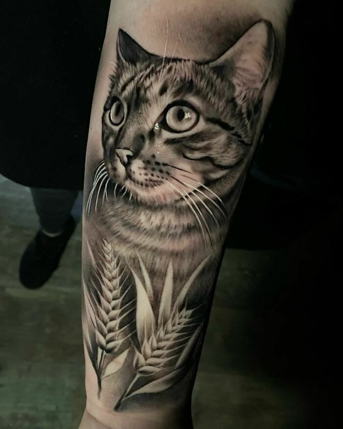 Pet tattoo of a realistic cat with detailed fur and ears alongside wheat stalks on an arm.