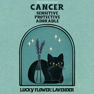 amandanolting avatar