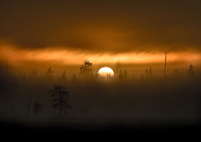 Misty Sunrise