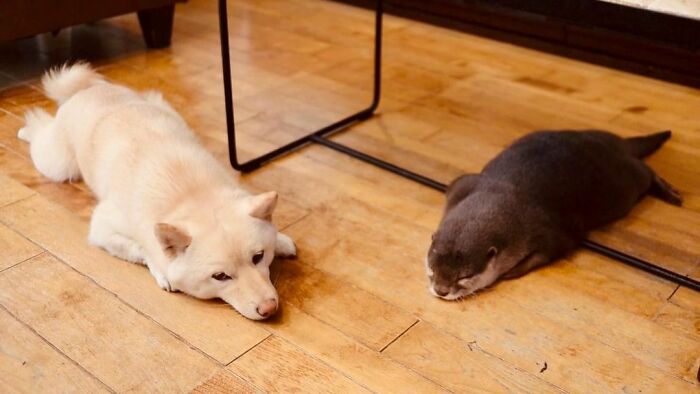 Chilling With My Brother