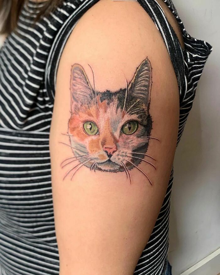 Pet tattoo of a cat's face in vivid detail on a person's upper arm.