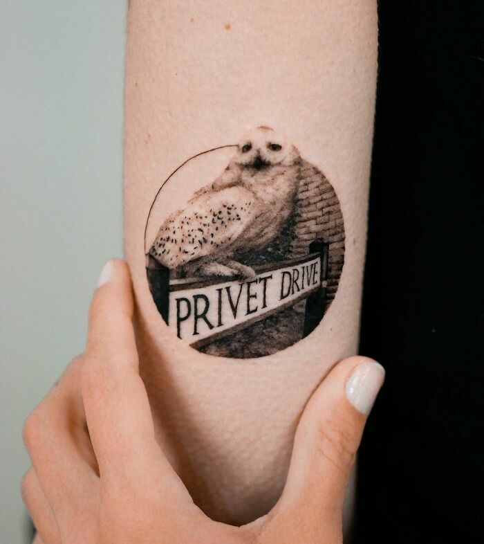 Harry Potter tattoo featuring Hedwig on Privet Drive sign, showcasing Wizarding World fandom on forearm.