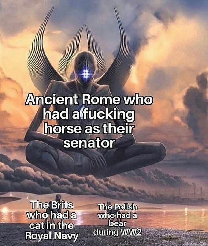 Funny-History-In-Memes