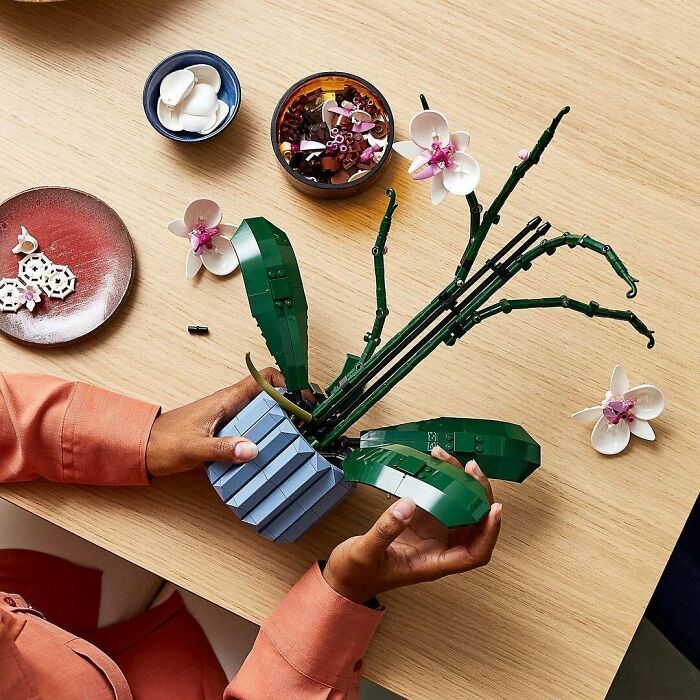 LEGO Botanical Collection 