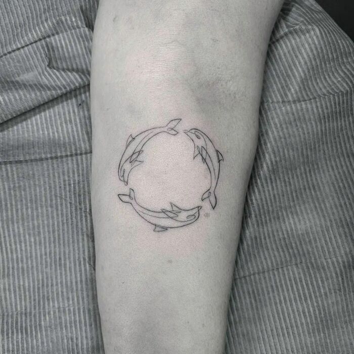 Fine-line perfection tattoo featuring three dolphins in a circular design on an arm.