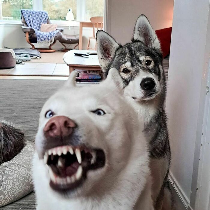 Remember The Episode Of Friends When Chandler Can't Smile Getting His Picture Taken