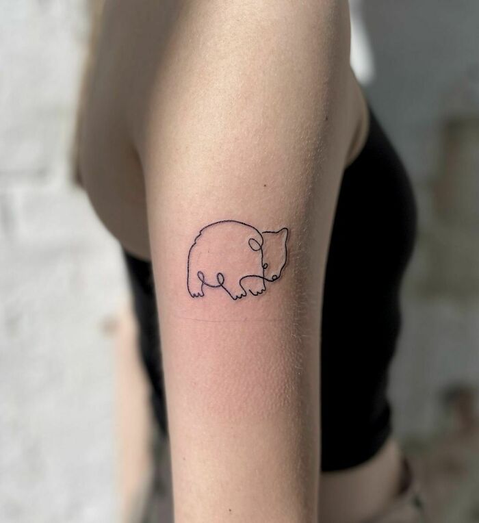 Single-line tattoo of a bear on a person's upper arm in minimalistic style.