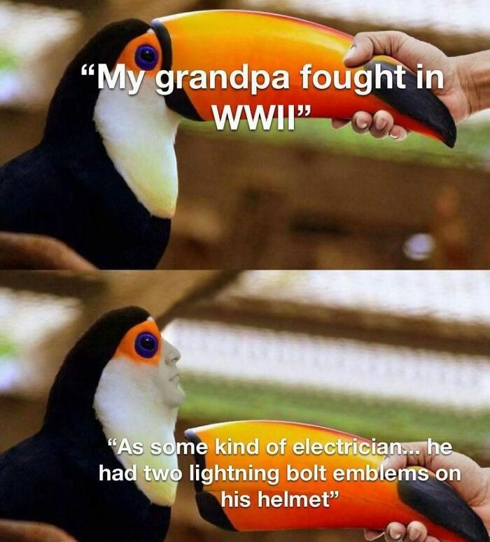 Funny-History-In-Memes