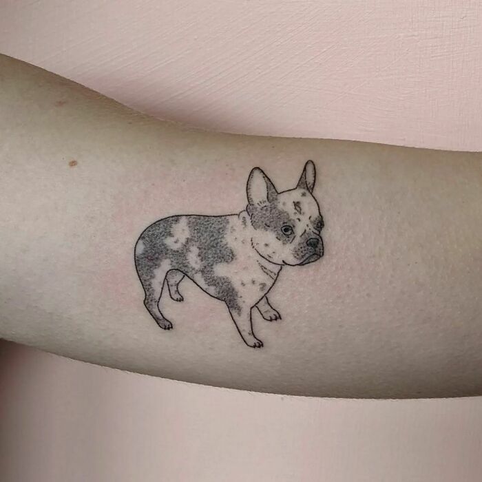 Tattoo of a French Bulldog on an arm, showcasing adorable pet art to immortalize cherished companions.