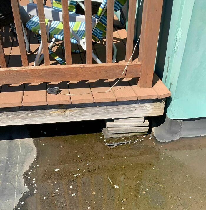 Sometimes You Just Need A Little More!