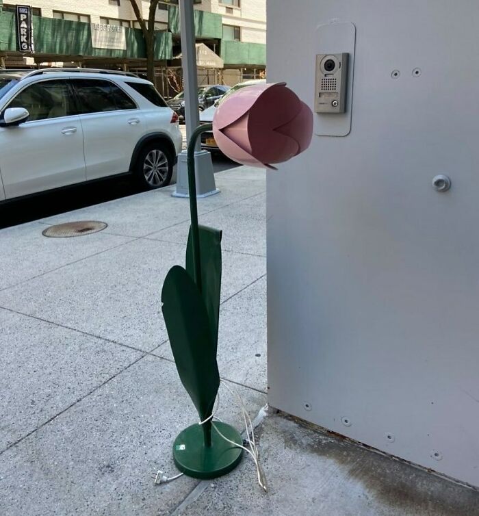  Al fin una flor que no morirá