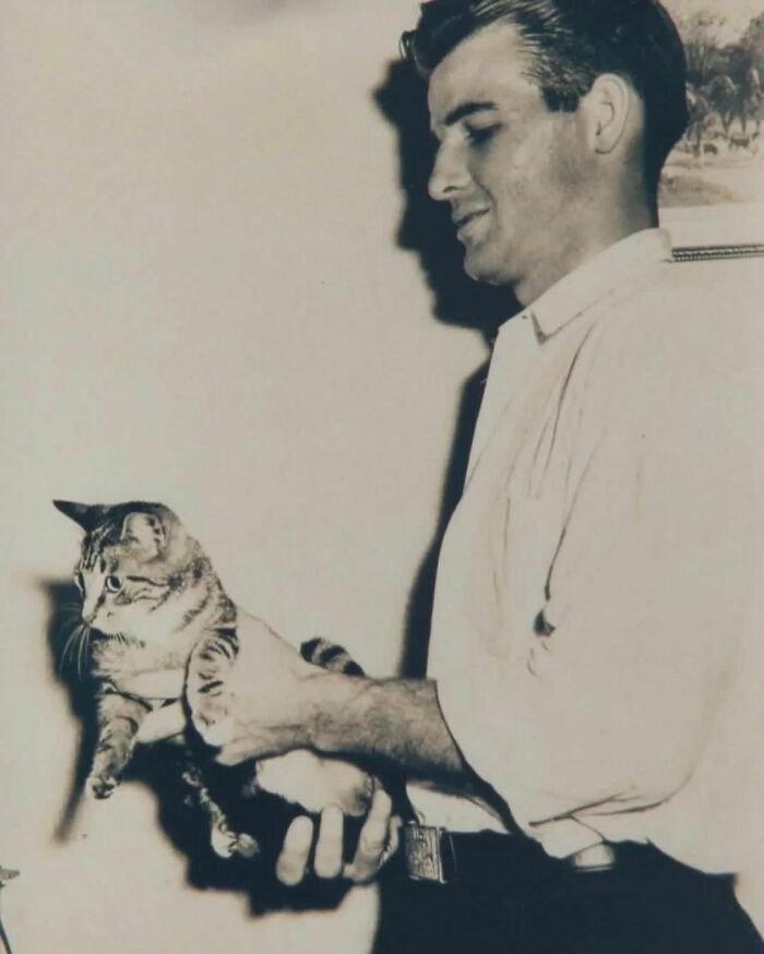 A Veterinarian, Inspecting An Early Prototype Of The Internet In The 1950's