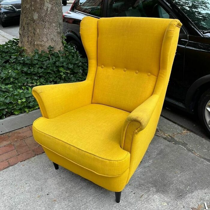 Have A Little Mustard At Your 4th Of July BBQ!