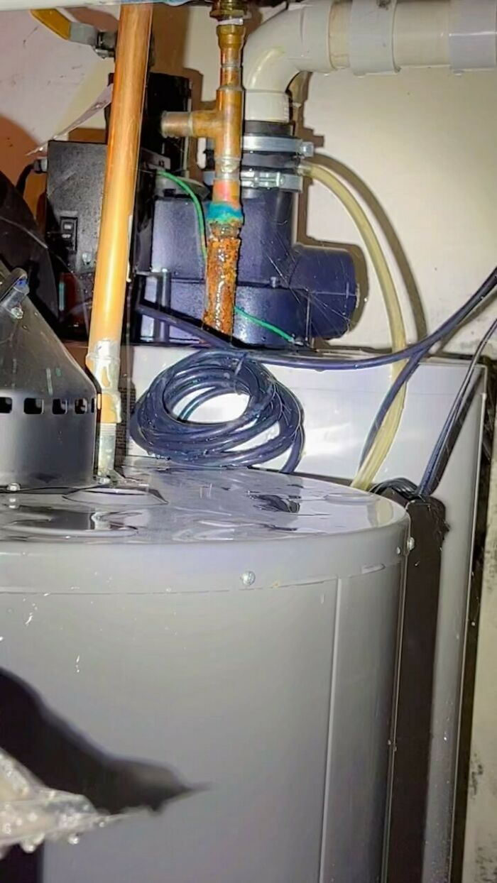 Welcome To Inspection Day!