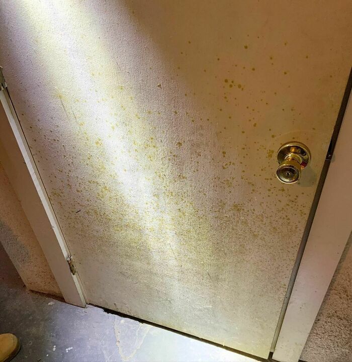 Aren’t Doors Supposed To Be Fuzzy?