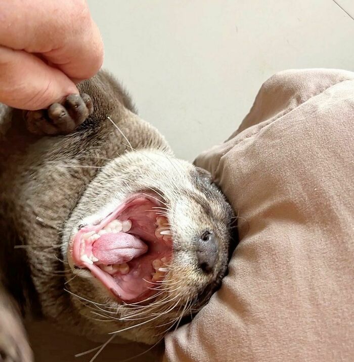 Do Not Disturb Me While I'm Sleeping