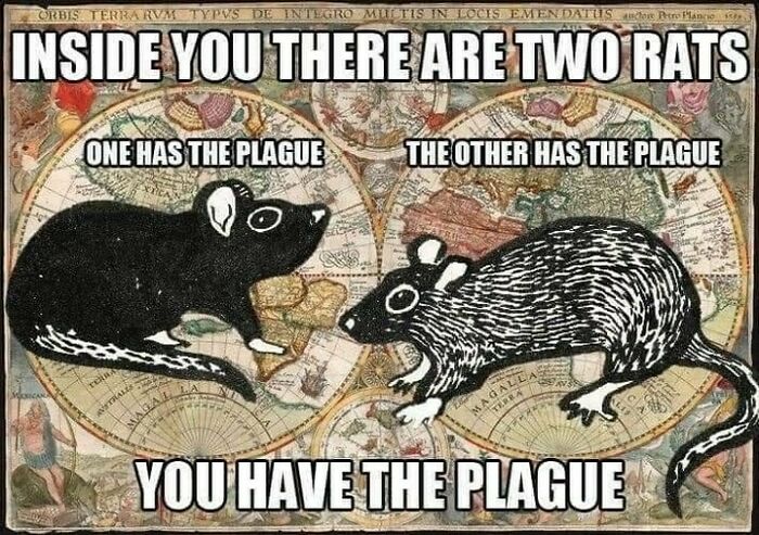 Funny-Educational-Memes