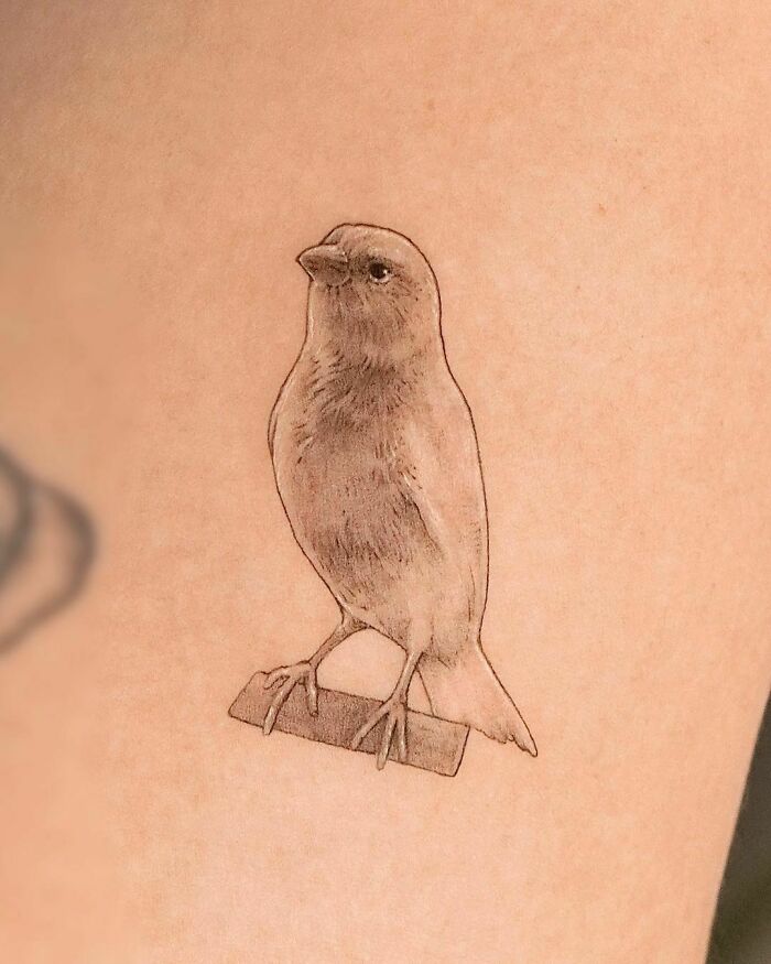 Tattoo of a beautifully detailed bird, showcasing love for our furry friends through body art.