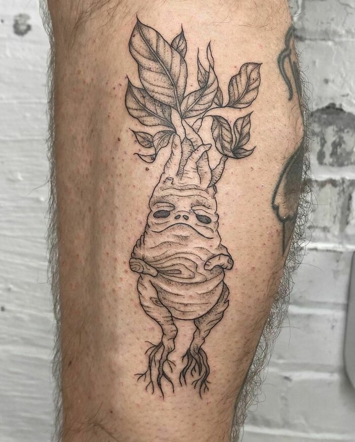 Mandrake tattoo on a leg, depicting detailed vines and leaves from Harry Potter series.