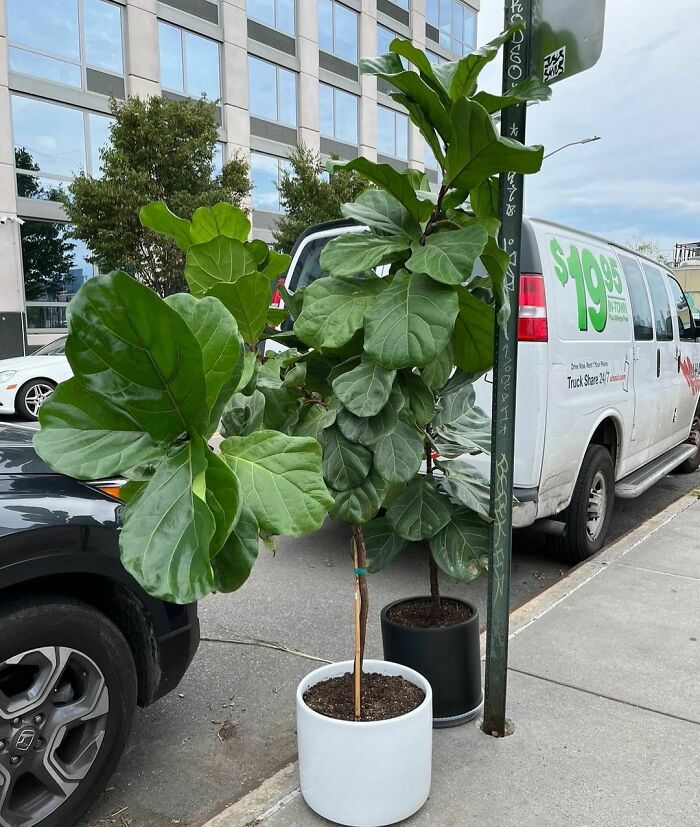 ¿Real o falso? ¿Importa realmente?