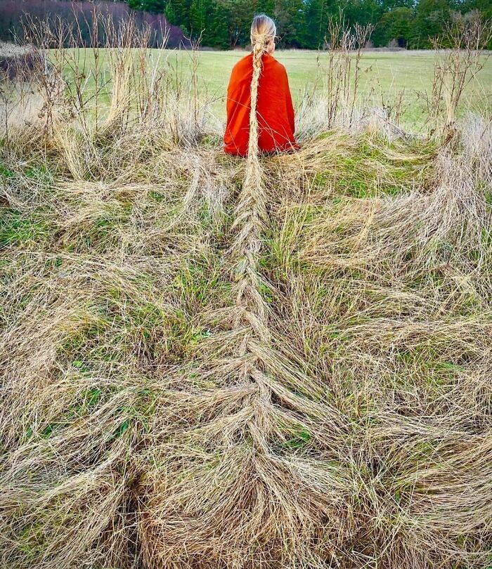 Extensions Photography Art By Jeanne Simmons 