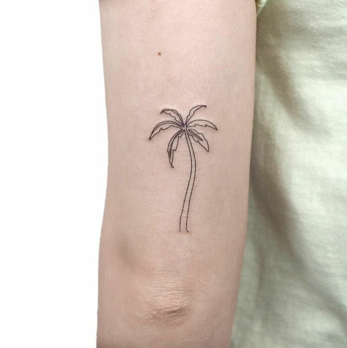 Single-line tattoo of a palm tree on an arm, illustrating minimalist design.