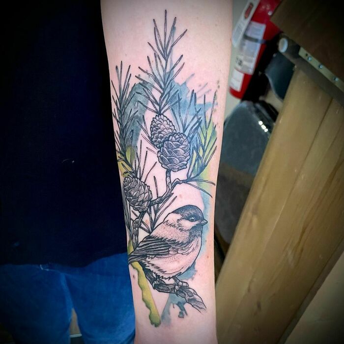 Watercolor tattoo of a bird and pinecones on an arm, featuring ethereal design elements.